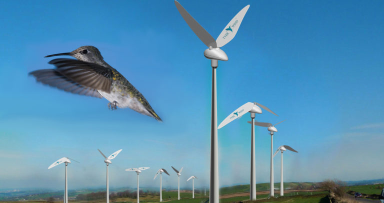 Sinek Kuşu Rüzgar Türbini Kanatları