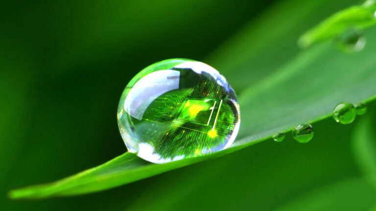 Biyonik Yaprak Enerji Üretiyor