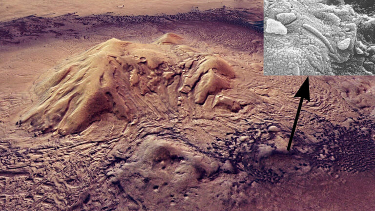 Daha az biyolojik yük ile gerçekleştirilen Mars görevleri