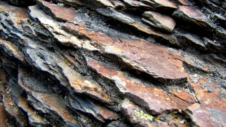 Shale rezervleri önemli bir lityum kaynağı olabilir