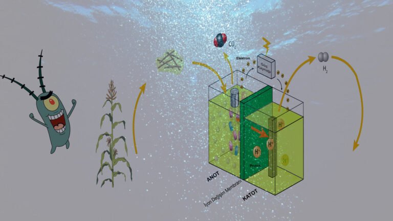 Biyoelektrokimyasal sistemlerin ölçeklendirilmesi için yeni stratejiler