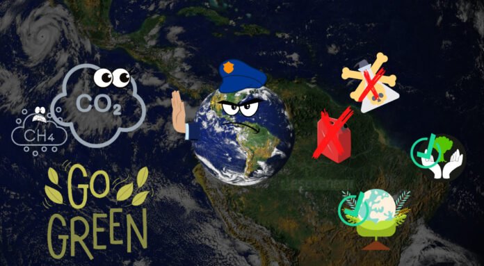 İklim değişimiyle mücadele için 2022’de atılmış adımlar