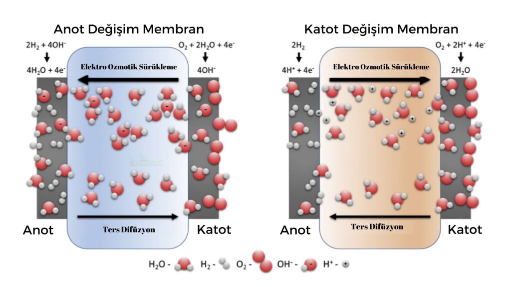Anot-Katot Değişim Membran