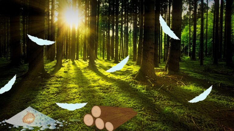 Odun atıkları ve patates nişastasından biyo-planörler