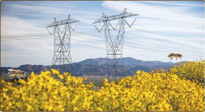 Elektrik kulelerinin tozlaşmaya etkisi