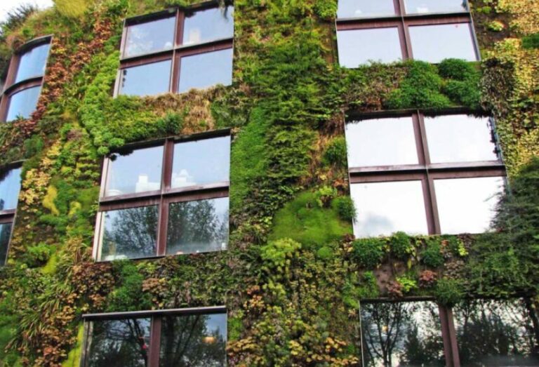 Yapılarda yeni trend yeşil mimari