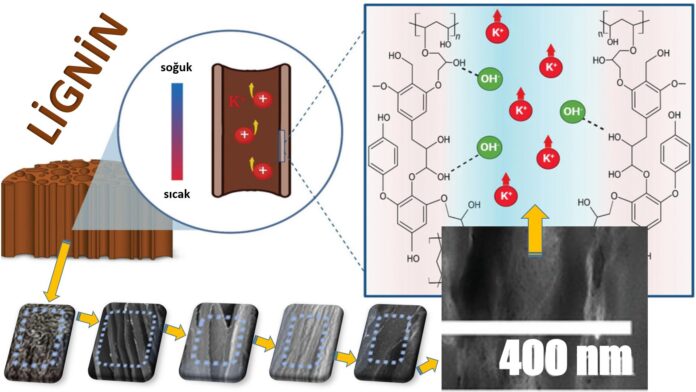 Atık odun ısısından enerji üretimi