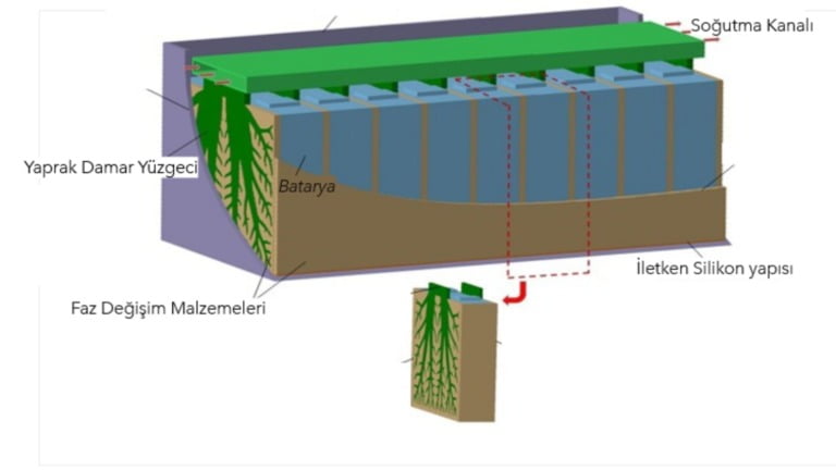 Biyonik yaprak damarlı lityum iyon pil soğutma