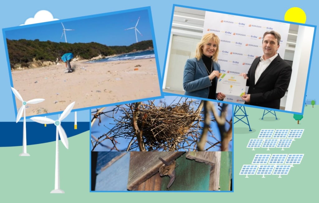 Borusan Enerji Sosyal Projeler