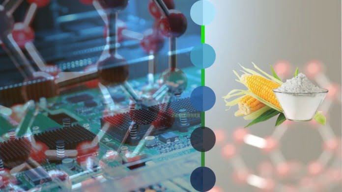 Mısır Nişastası Biyopolimerinden Sentezlenen Gözenekli Karbon Tabanlı Süper Kapasitör