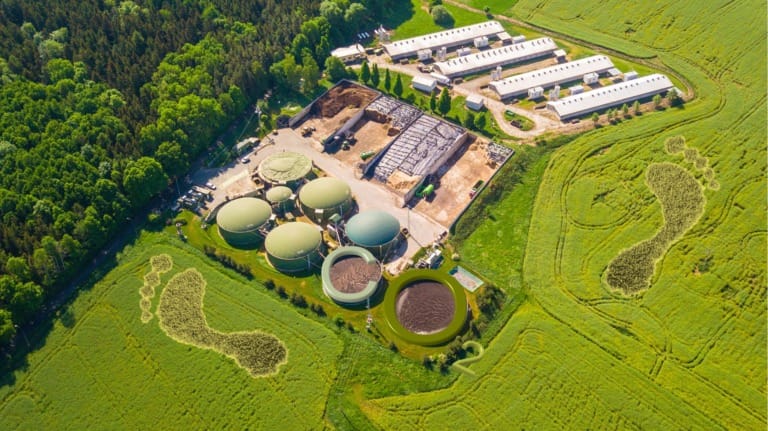 Çayır biyokütlesinden temiz enerji