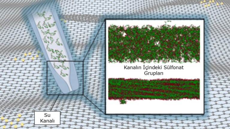 Polimer yan zincir uzunluğu membranlarda proton taşınımını etkiliyor