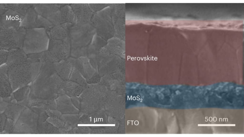MoS2 üzerinde yetiştirilen perovskit filmlerin üstten ve kesitsel SEM görüntüleri