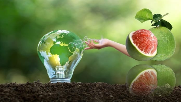 Triboelektrik teknolojisi ile meyve atıklarından elektrik üretimi