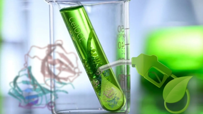 Selüloz dönüşümünü kataliz eden ilginç enzim